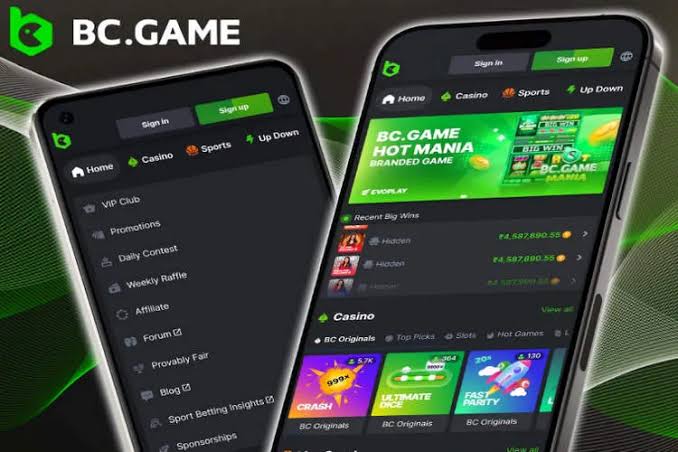 Discover the Thrills of BC Game Online Casino in India